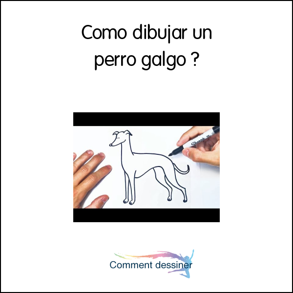 Como dibujar un perro galgo